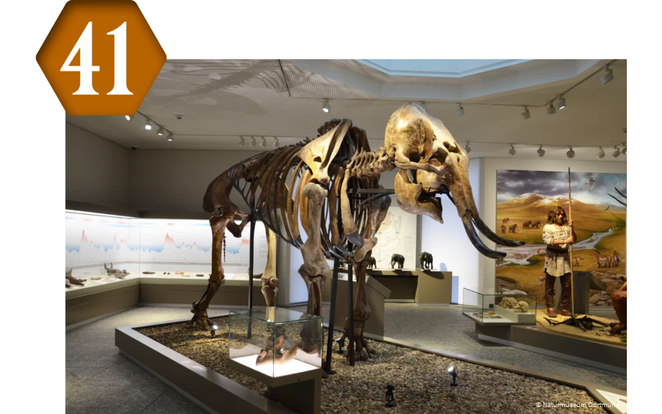 41_Naturmuseum_Dortmund.png