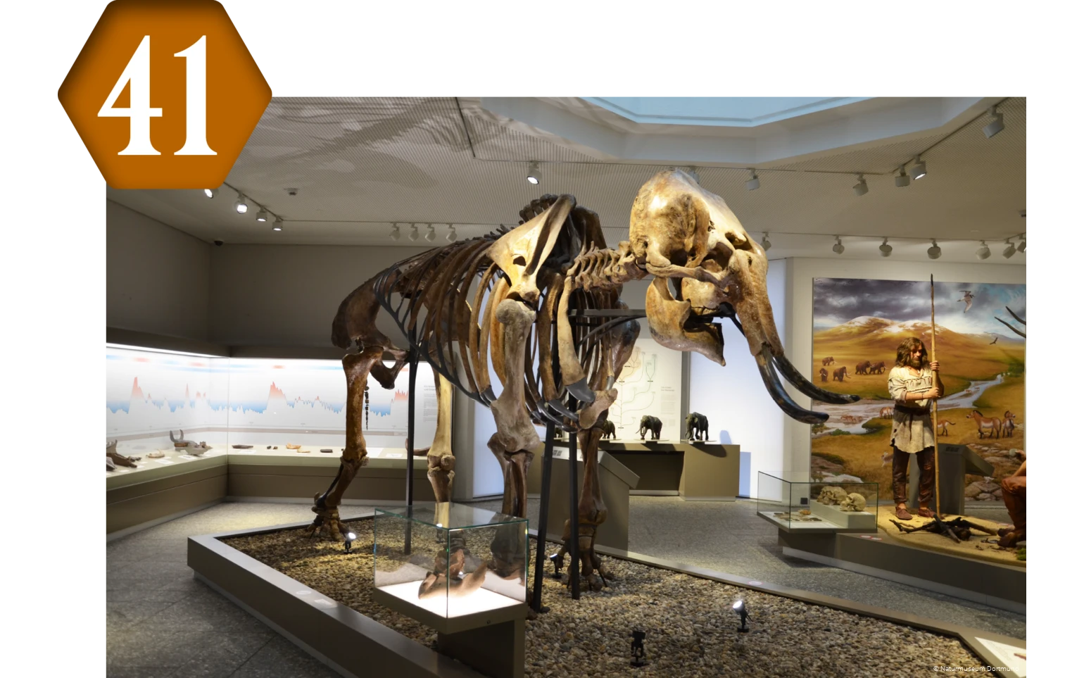 41_Naturmuseum_Dortmund.png