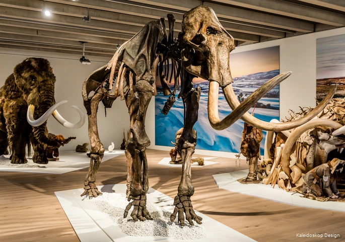 BS_32_Sauerlandmuseum_Arnsberg_2020_Eiszeitausstellung.jpg