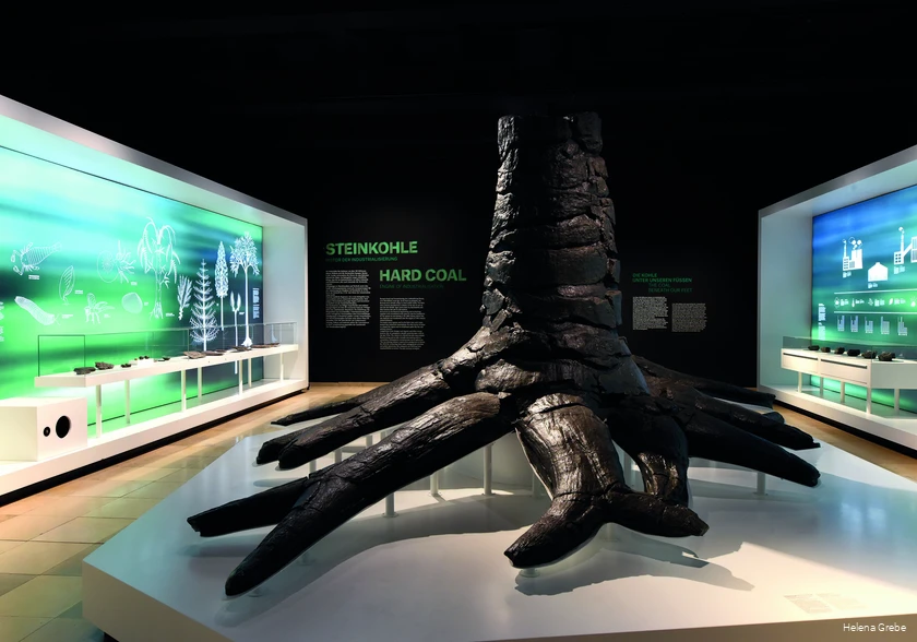 BS_2_6_Dt_Bergbaumuseum_Bochum_heute_stammrest-schuppenbaum-karbonzeitalter-rundgang-steinkohle.jpg