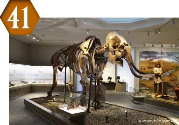 41_Naturmuseum_Dortmund.png
