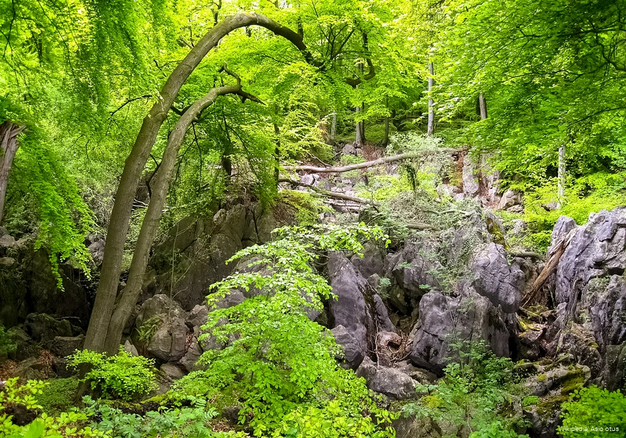 BS_6_2_Felsenmeer_1440px-Hemer-Felsenmeer2-Asio.jpg