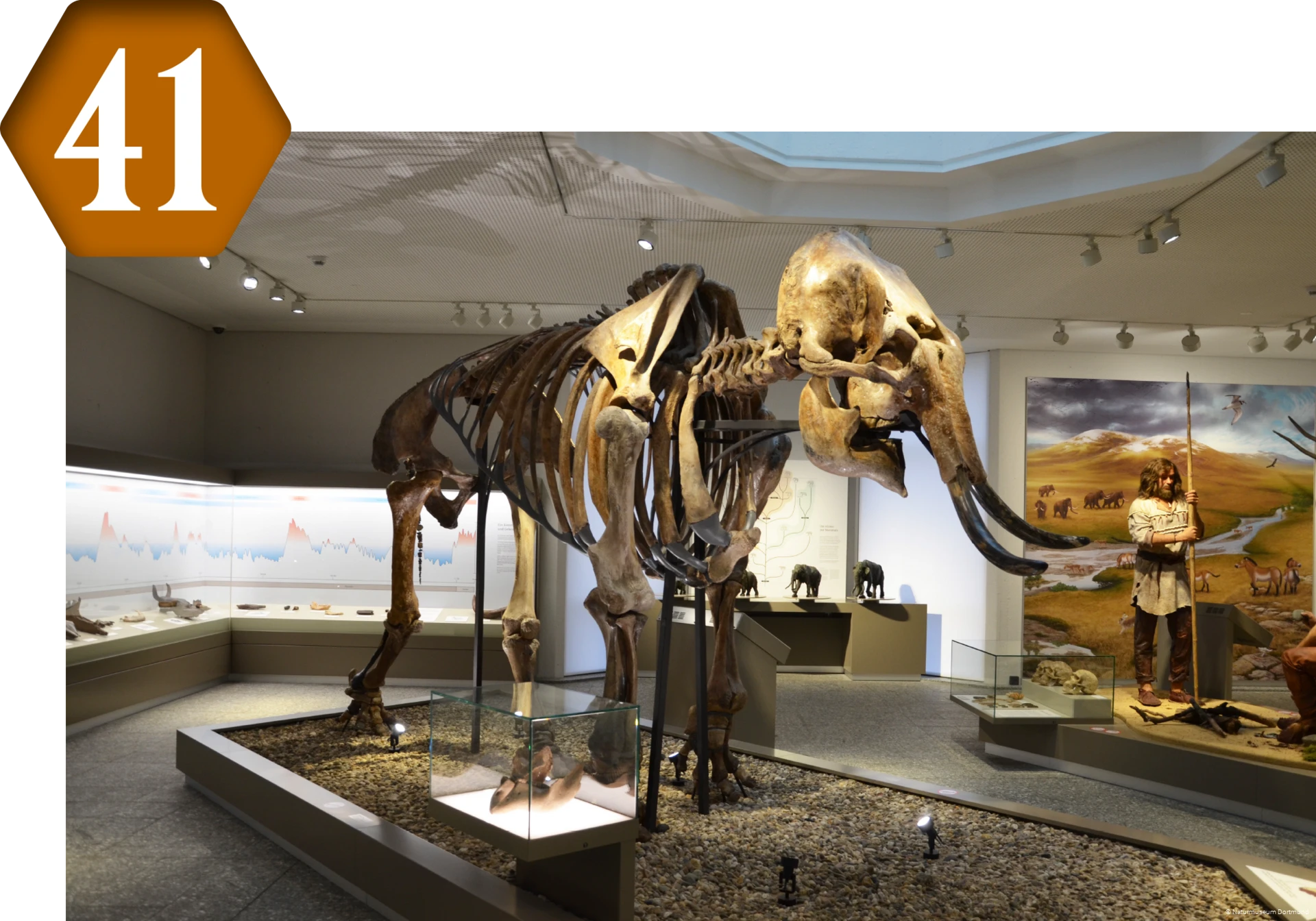 41_Naturmuseum_Dortmund.png