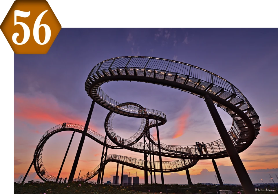 56_Tiger_and_Turtle.png 56_Tiger_and_Turtle.png